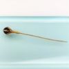 Picture of Victorian/Edwardian Era 14K Gold & Lapis Lazuli Eagle's Talon Figural Stick Pin