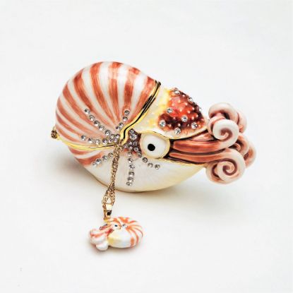 Picture of Kingspoint Designs Oceana the Nautilus Trinket Box with Matching Necklace