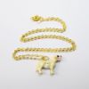 Picture of Kingspoint Designs Butterscotch the Yellow Lab Trinket Box with Matching Necklace