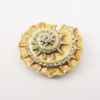 Picture of Kingspoint Designs Nautilus Shell Trinket Box with Matching Necklace