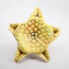 Picture of Ardmore Studio Artisan Created 'Starfish Rider'