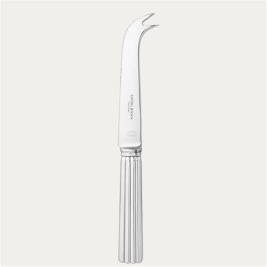 Picture of New Cheese Server