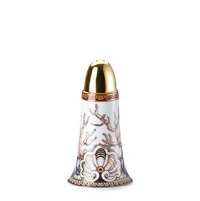 Picture of New Salt Shaker