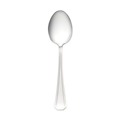 Picture of New Place Spoon