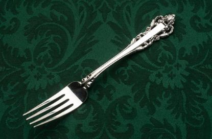 Picture of Place Forks