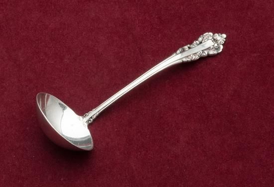 Picture of Sauce Ladle