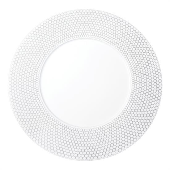 Picture of New Service Plate 12"