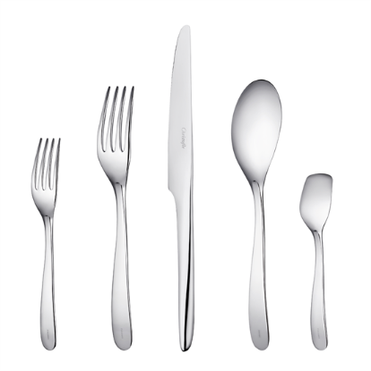 Picture of New 5pc. W/placespoon