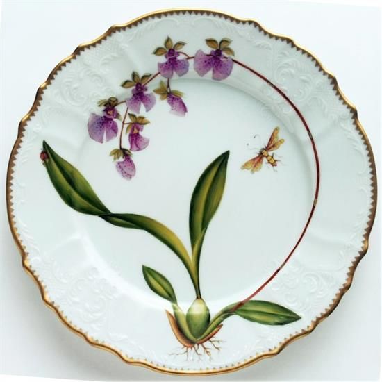 Picture of Dinner Plates