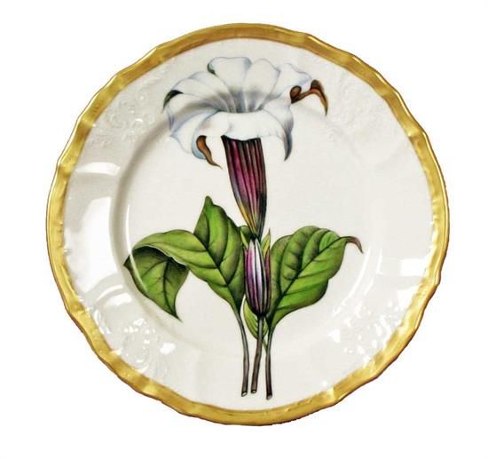 Picture of New Salad Plates
