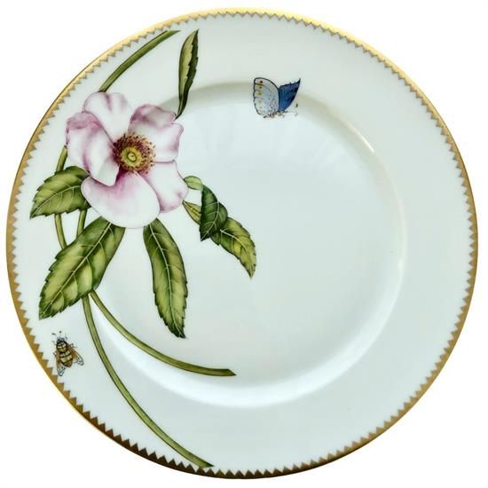 Picture of New Dinner Plate