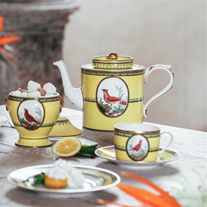 Picture of Dinner Plates