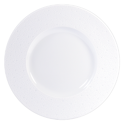 Picture of New Service Plate 12"