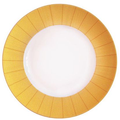 Picture of New Service Plate 12"