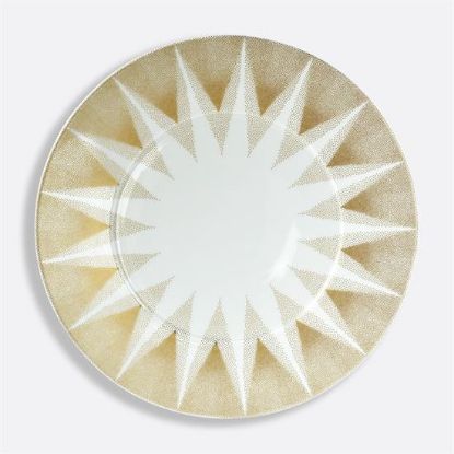 Picture of New Service Plate 12"