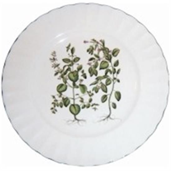 Picture of Dinner Plates