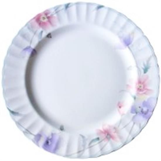 Picture of Dinner Plates