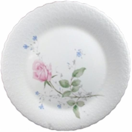 Picture of Dinner Plates