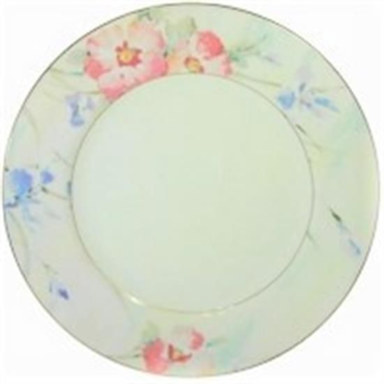 Picture of Dinner Plates