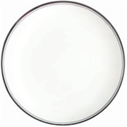 Picture of Dinner Plates