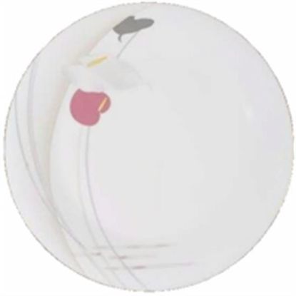 Picture of Dinner Plates