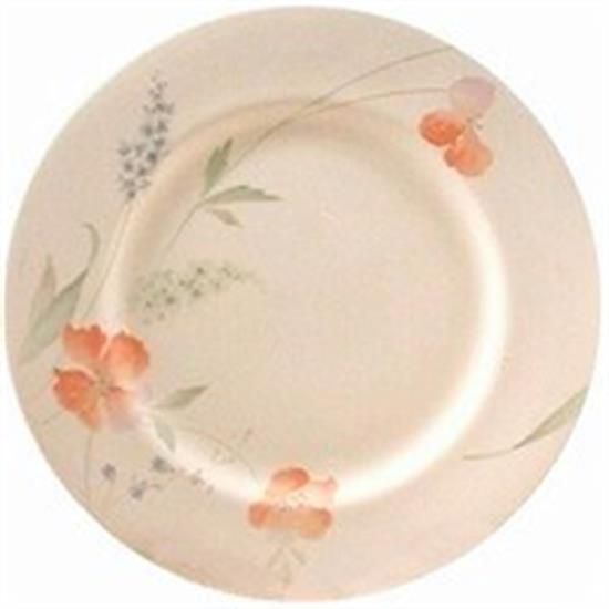 Picture of Dinner Plates