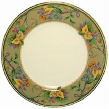 Picture of Dinner Plates