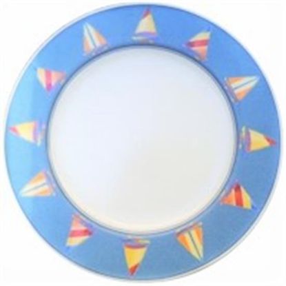Picture of Dinner Plates