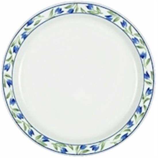 Picture of Dinner Plates