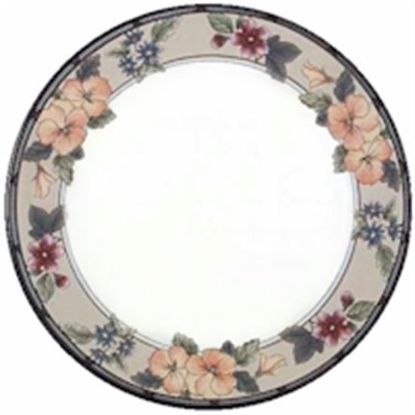 Picture of Dinner Plates