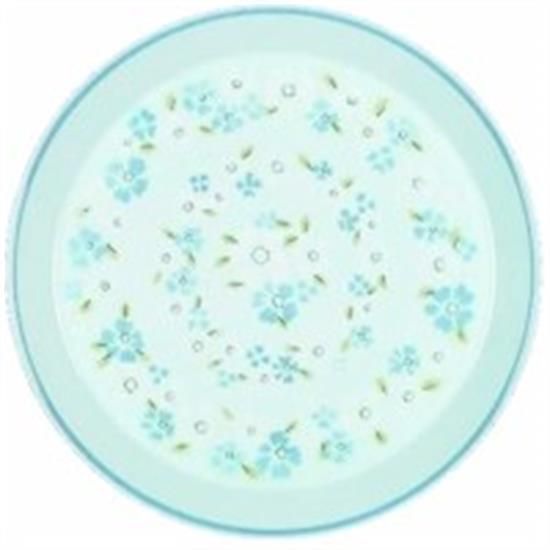 Picture of Dinner Plates