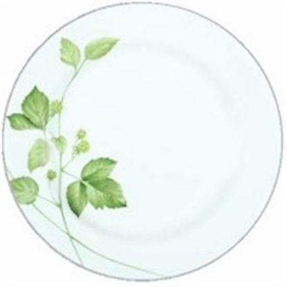 Picture of Dinner Plates