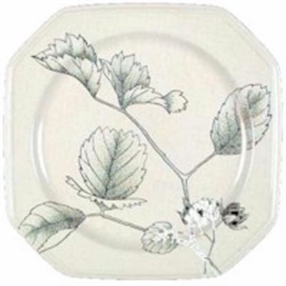Picture of Dinner Plates