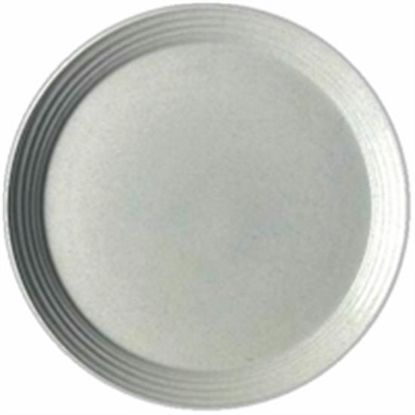 Picture of Dinner Plates