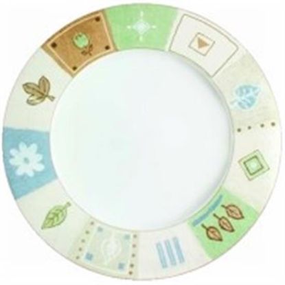 Picture of Dinner Plates