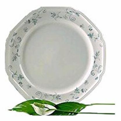 Picture of Dinner Plates
