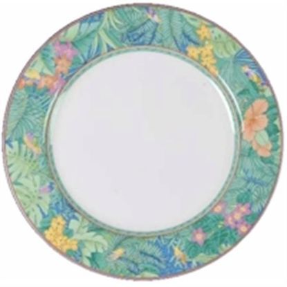 Picture of Dinner Plates