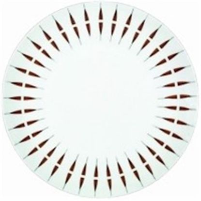 Picture of Dinner Plates