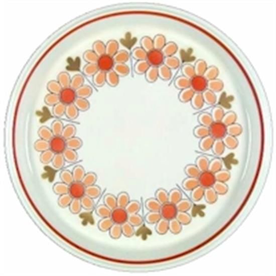Picture of Dinner Plates