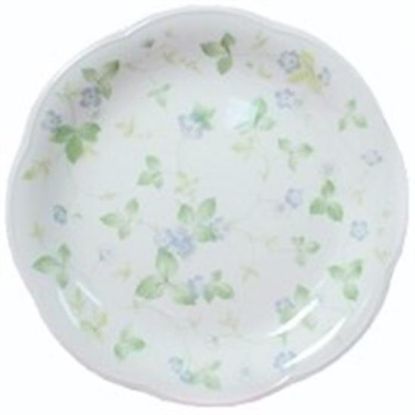 Picture of Dinner Plates