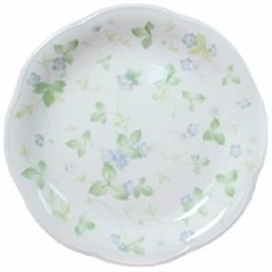 Picture of Dinner Plates