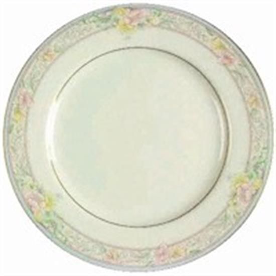 Picture of Dinner Plates