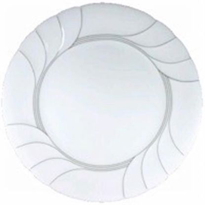 Picture of Dinner Plates