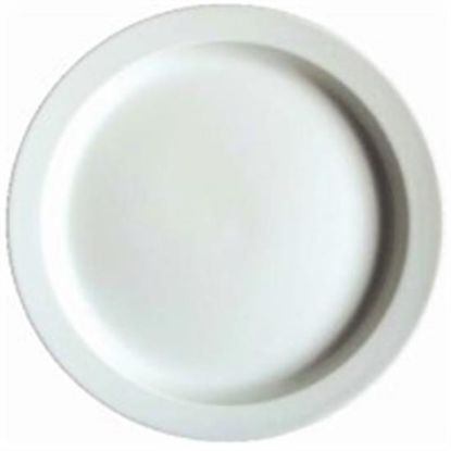 Picture of Dinner Plates