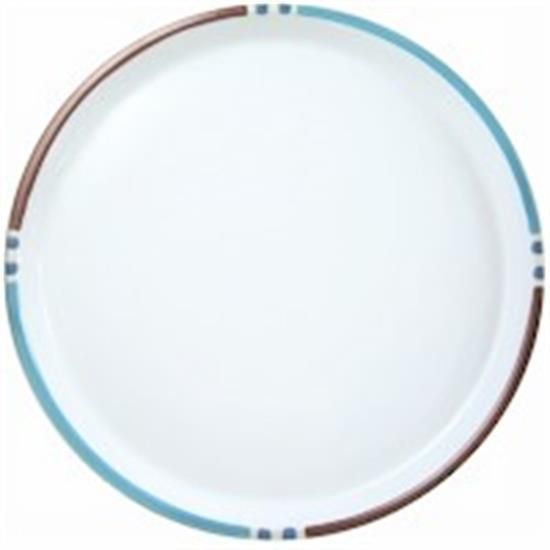 Picture of Dinner Plates