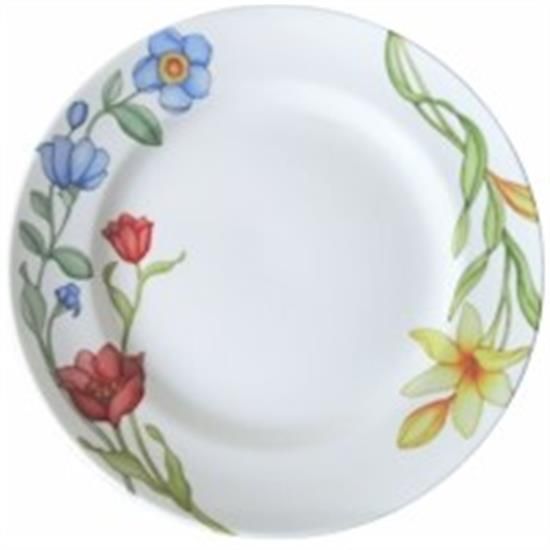 Picture of Dinner Plates
