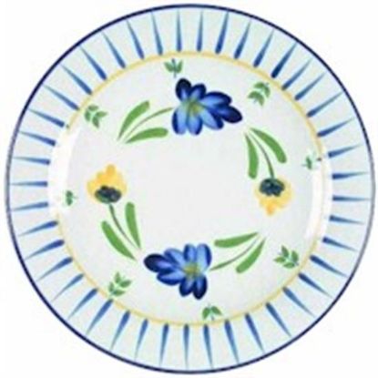 Picture of Dinner Plates