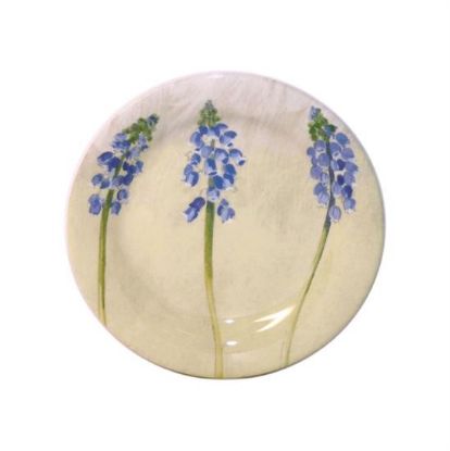 Picture of New Butter Plates