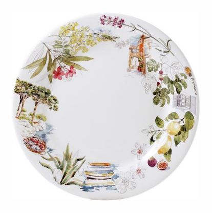 Picture of New Dinner Plate