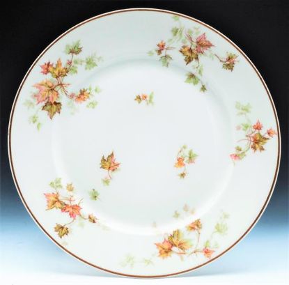 Picture of Dinner Plates